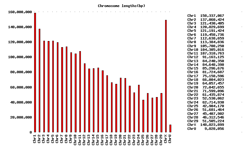 UMD3 chromosome lengths