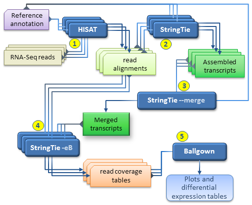 DE workflow