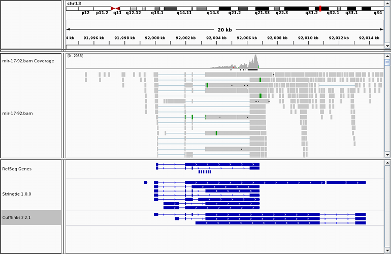 miR example